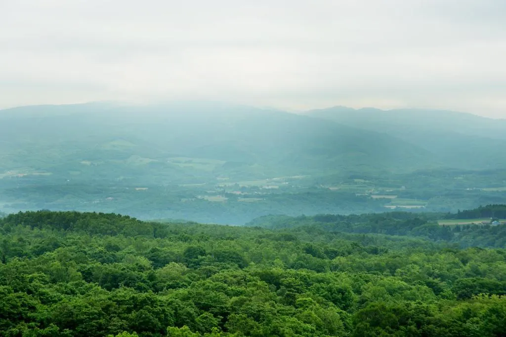Hotel One Niseko Resort Towers